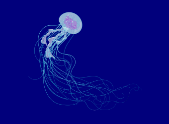 Ilustración de medusa